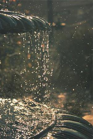 天然纤维织物湿舒适性能的相关性分析