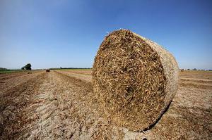 巴西强化木地板制造商竭力阻止进口中国地板