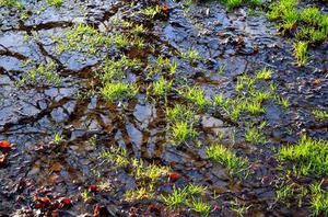 梁滩河底泥污染特征及其对上覆水的影响初探