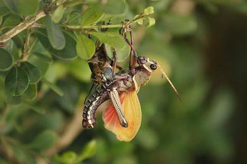 天地峰是天地门的一座山峰,也是囚禁弟子的地方,每日饱受天地雷电的击