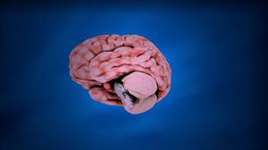 心理干预对EICU脑外伤患者家属的情绪影响