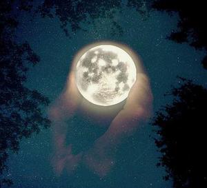 夜神月